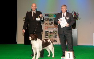 Hond van het Jaar show 2012 , Jarak beste van de Nederlandse Rassen