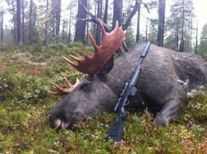jacht07 Elandstier