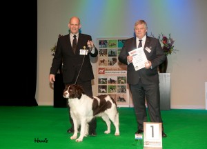 Hond van het Jaar show 2012 , Jarak beste van de Nederlandse Rassen