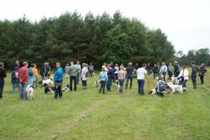 deel van de deelnemers aan 'the day after'.  Hier bij begin van de wandeling.